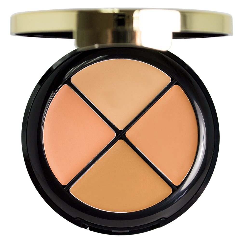 Milani Conceal + Perfect All-in-One Concealer Kit 03 Medium to Dark