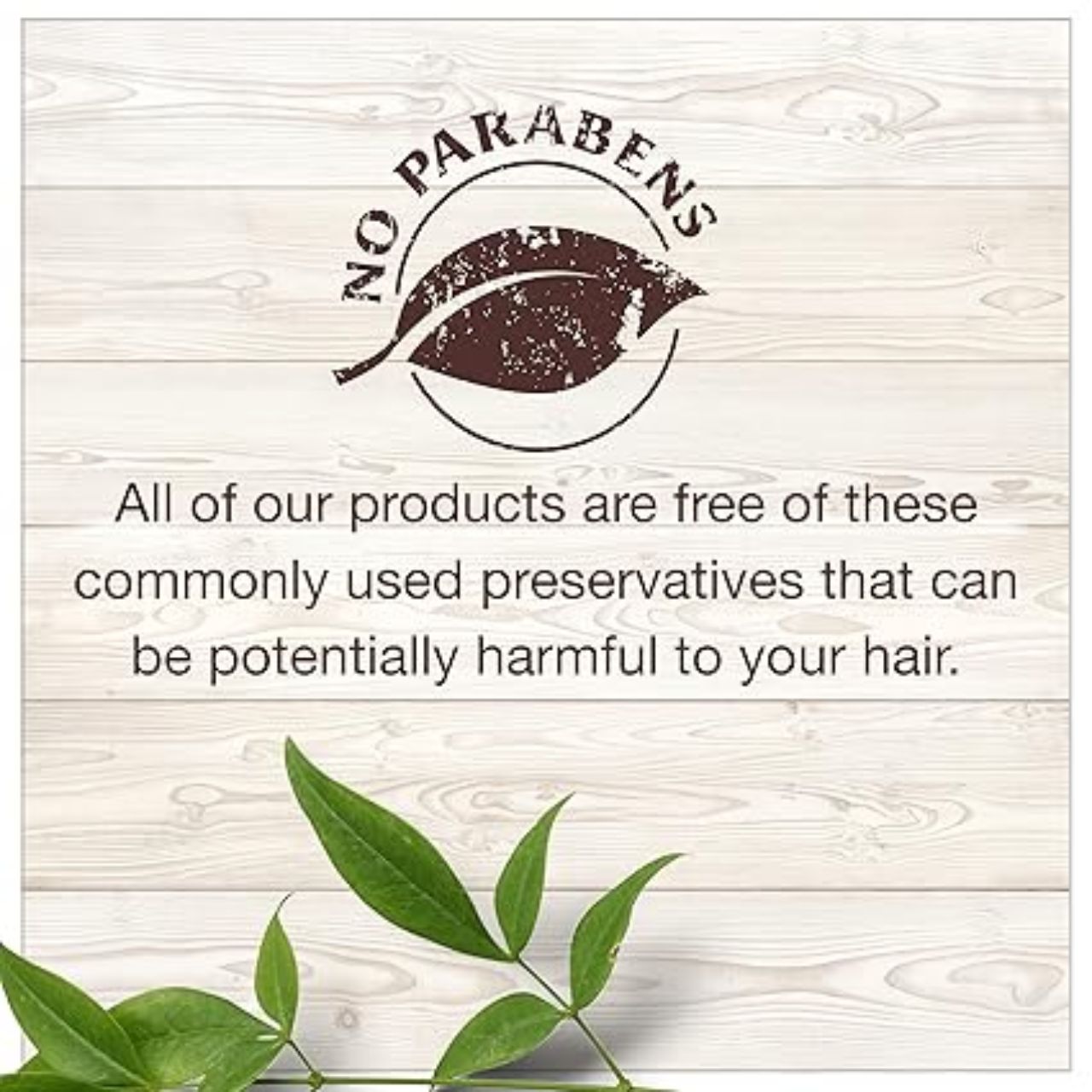Garnier Whole Blends Weightless Moisture Conditioner with Almond Milk and Agave Extract 12.5 fl. oz.