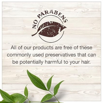Garnier Whole Blends Weightless Moisture Conditioner with Almond Milk and Agave Extract 12.5 fl. oz.