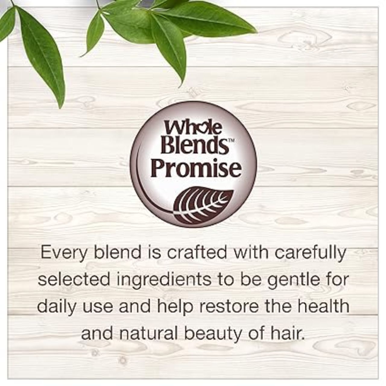 Garnier Whole Blends Weightless Moisture Conditioner with Almond Milk and Agave Extract 12.5 fl. oz.